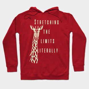 Stretching the limits Hoodie